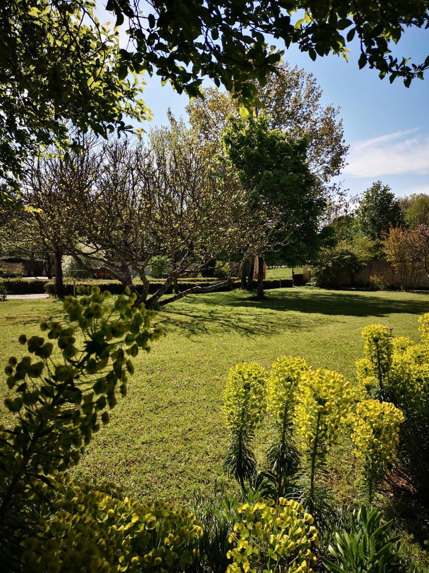 Bed and Breakfast La Burie Saint-Savinien Экстерьер фото